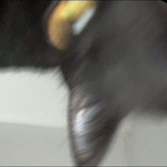 nanopieee